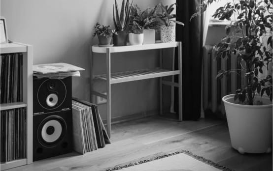 A 2 black & white Speaker in the floor around books and plants